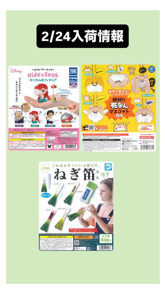 🌟本日の入荷情報🌟 📌 リトル・マーメイド Hide&Seek かくれんぼ