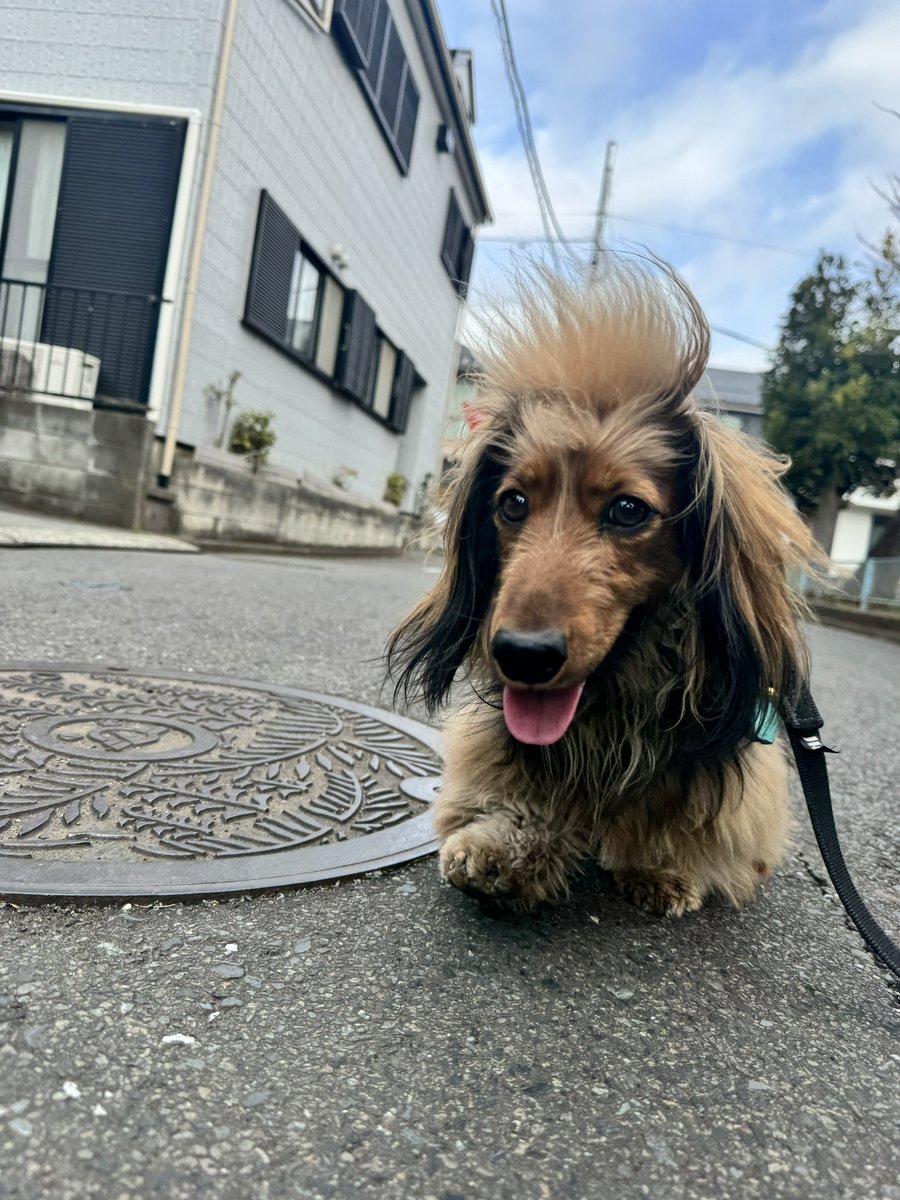 おこげ(大爆発) (@okoge0822) / Posts and Replies / X