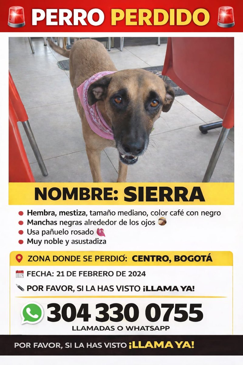 #BUSCANDOaSIERRA
#ReencuentrosDeCuatroPatas🐾🐾