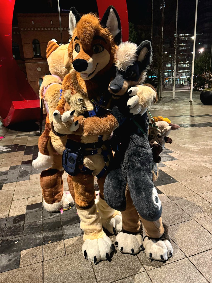 🐾 Flynn 🦊 🔜 FE 🐾 tweet media