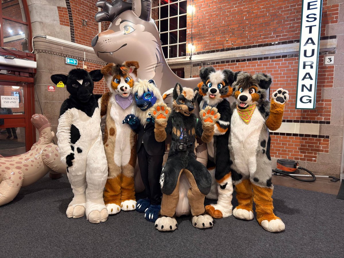 🐾 Flynn 🦊 🔜 FE 🐾 tweet media