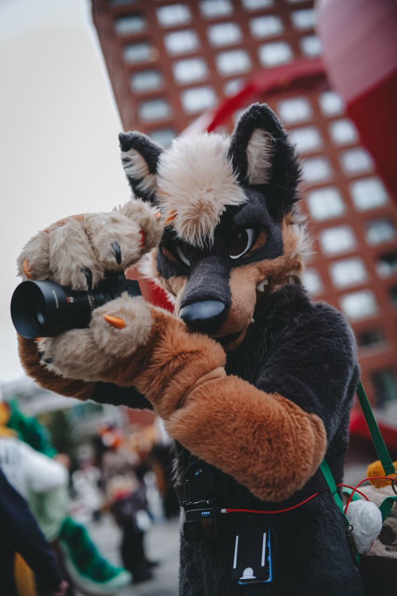 🐾 Flynn 🦊 🔜 FE 🐾 tweet media