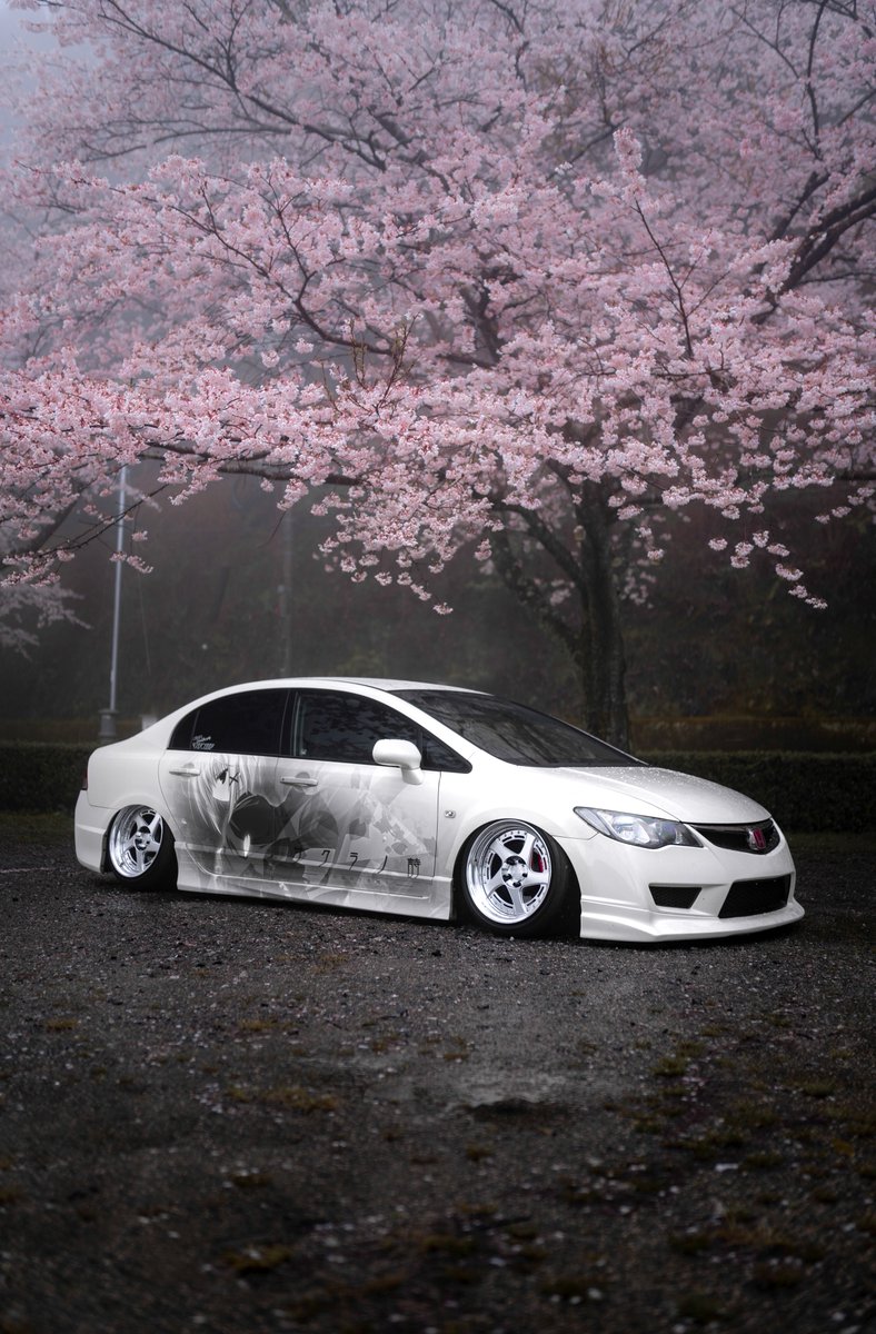 桜と撮った写真だとこれがやっぱ好き
今年はBRZで撮りに行きたいしカメラまた買おうかな