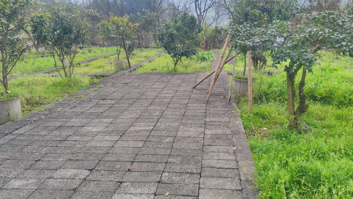 🕊️老三 ｜LaoSan｜🕊️ tweet media