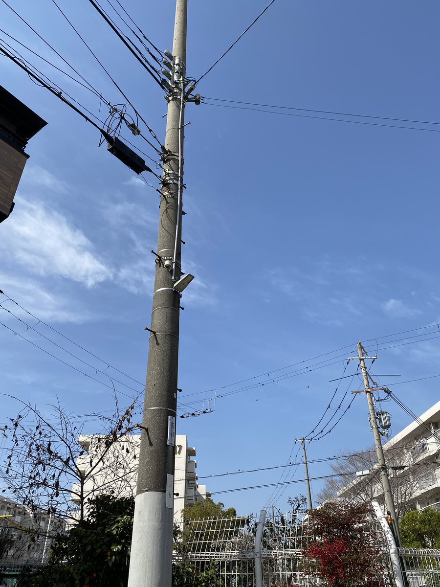 寺ちゃん tweet media