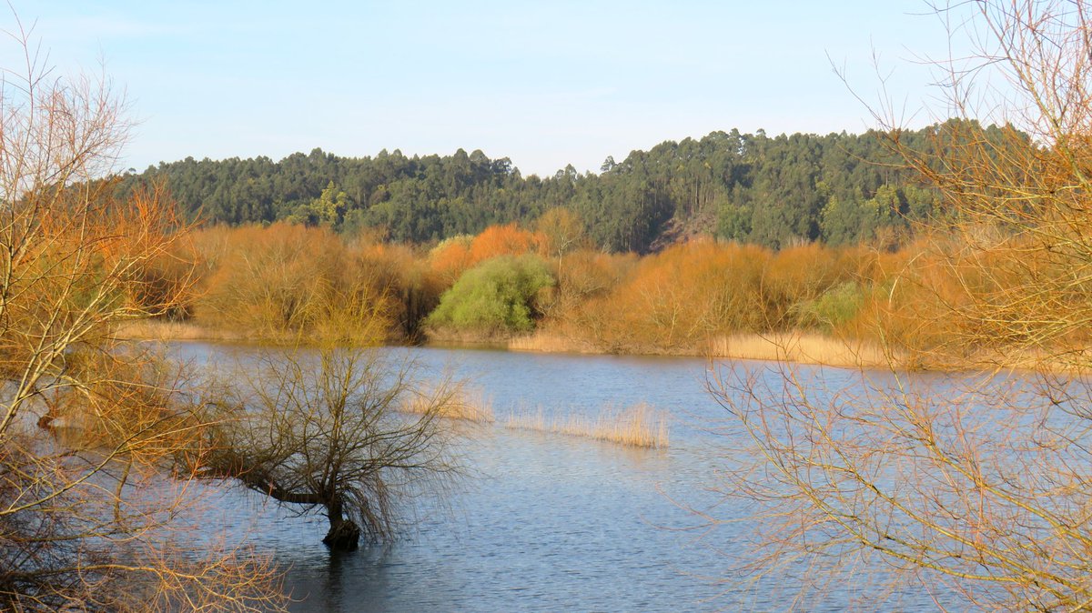 Bom dia! As cores da terra abraçam o azul das águas. A Pateira de Perrães espelha os tons que anunciam o final do inverno. Boa 3°f
#ruifototerapia