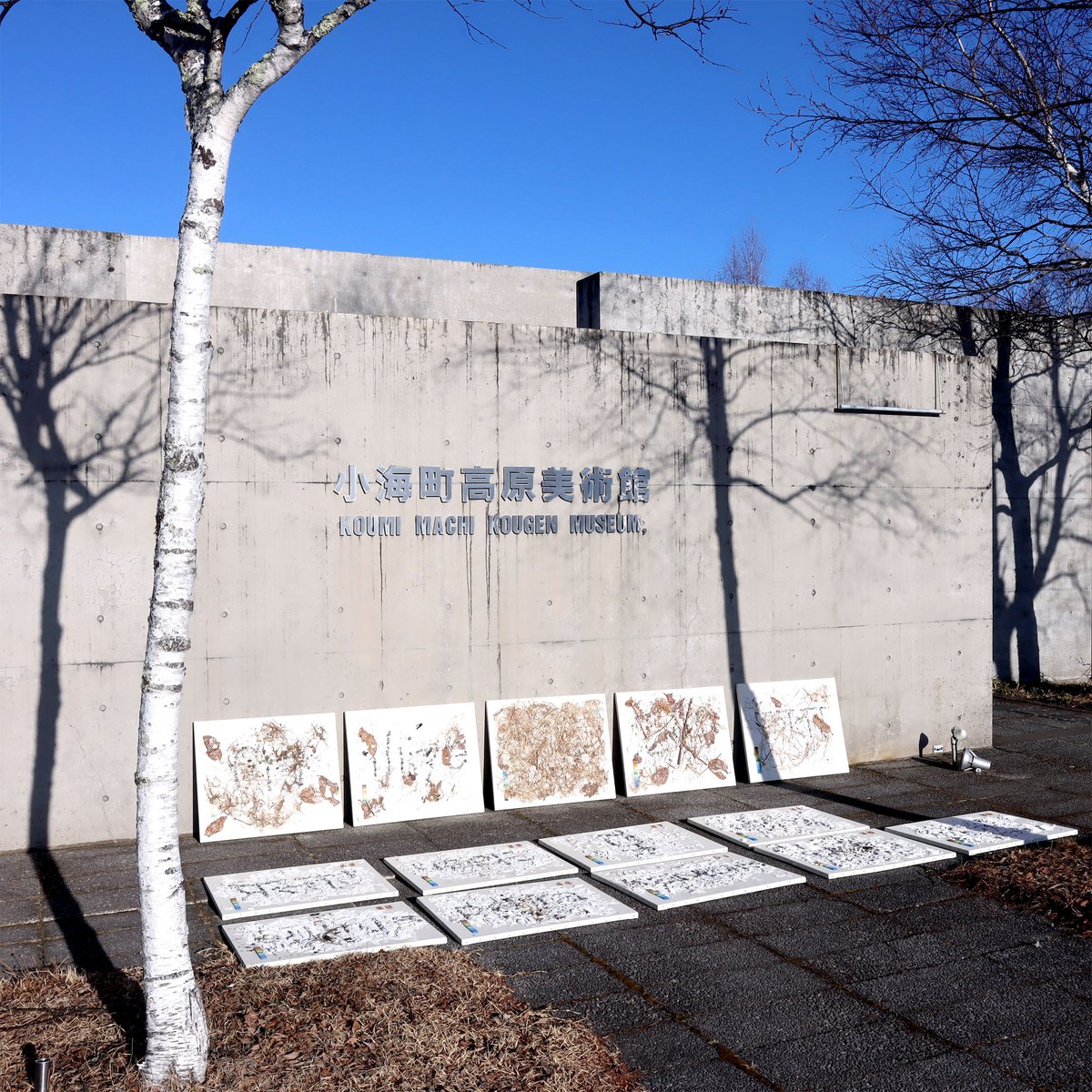 宮坂了作さんが制作中の作品を見せにきてくれました。外に並べすぎ、、、