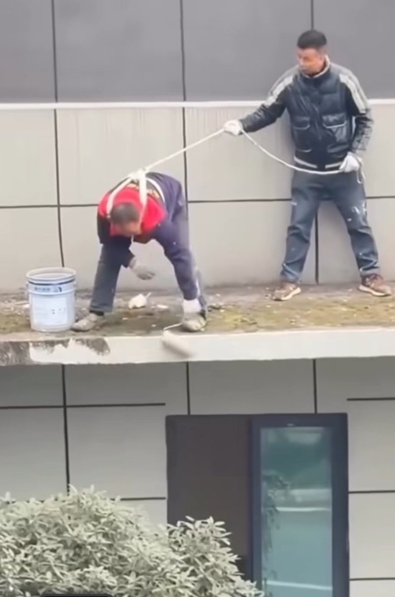 Los Terians ya han llegado al mundo profesional.
#nosextinguimos