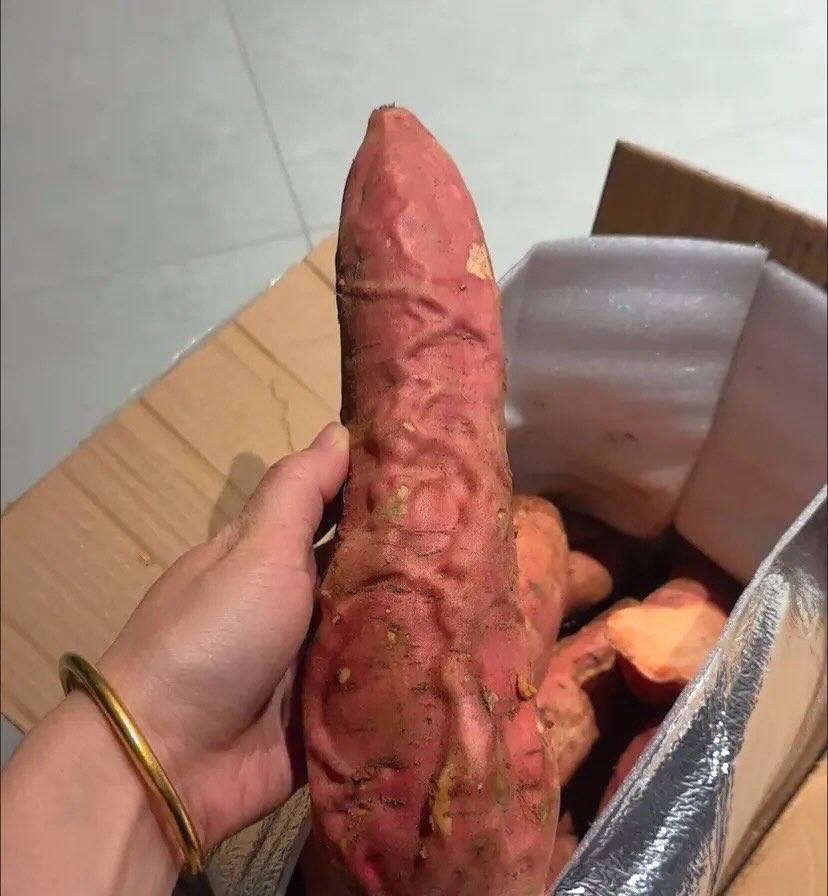 Sanskari tweet media