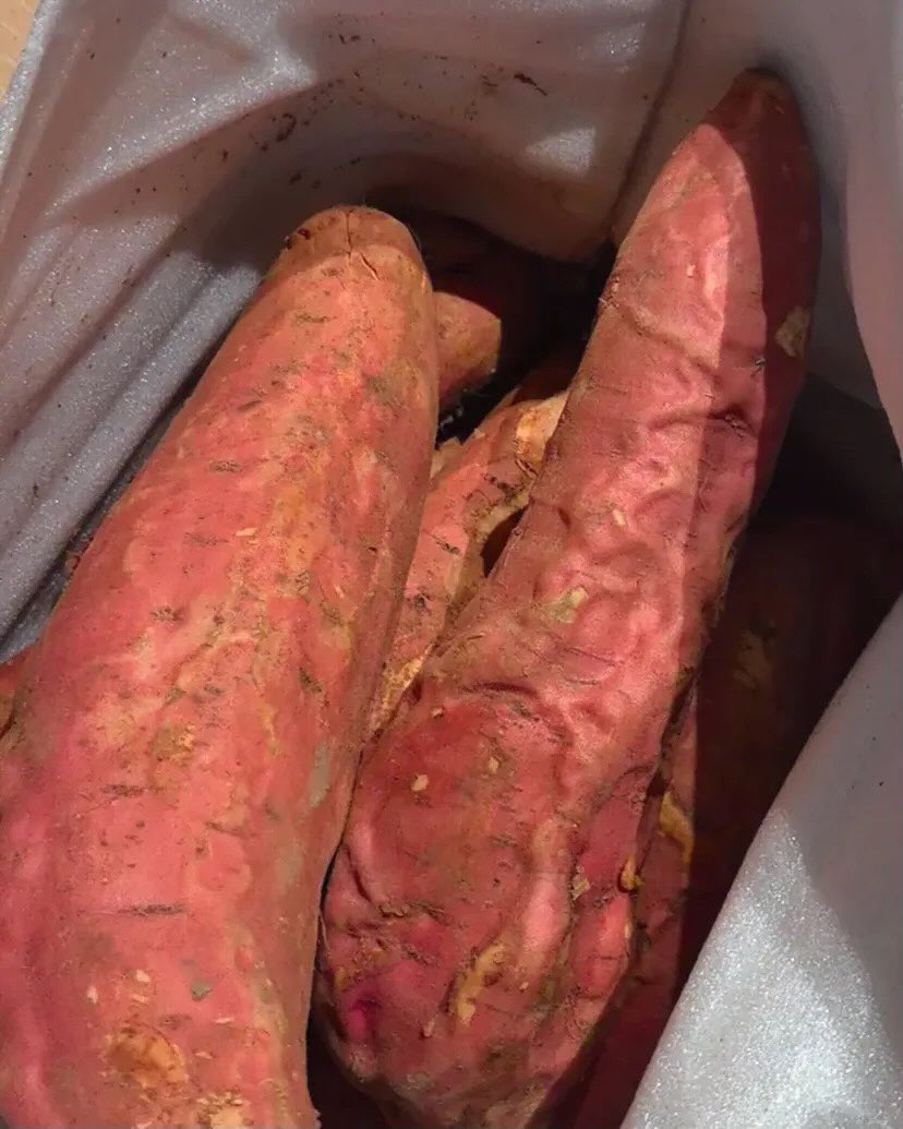 Sanskari tweet media