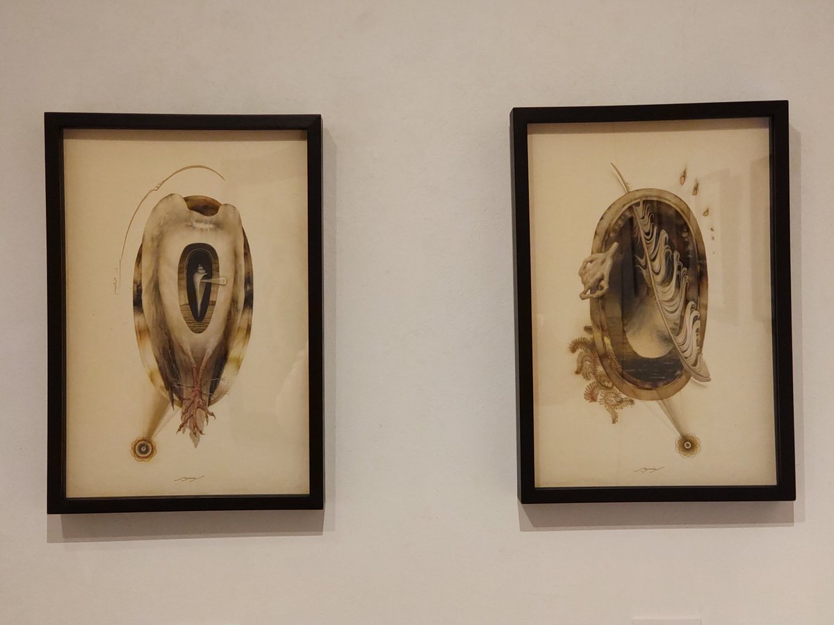 中島綾美 さま個展 「漣の標本譜」 日本橋本町 space2*3 msb gallery