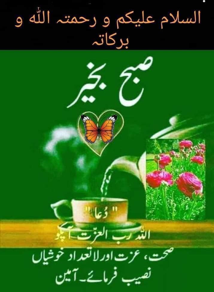 ﷽
 ٱلسَّلَامُ وَعَلَيْكُمُ وَرَحْمَةُ ٱللَّٰهِ وَبَرَكَاتُهُ,
#خاتم_النبیین_محمدﷺ 
⁧#درود_وسلام⁩
یا الله! اس مبارک مہینے کو ہمارے لیے رحمت،
مغفرت
اور جہنم سے آزادی کا زریعہ بنا دے
ہماری عبادتوں کو قبول فرما
اور ہمیں صراط مستقیم پر چلنے کی توفیق عطا فرما۔ آمین