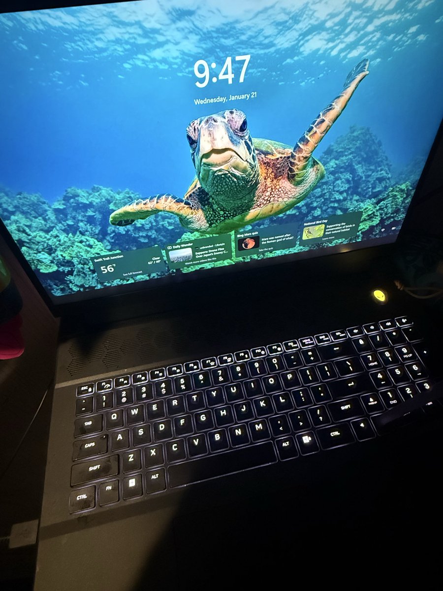 xZuaw's tweet photo. Selling my Dell ALIENWARE M18 R2 
Operating system
Microsoft Windows 11 Home, Version 10.0.26200
Driver
Game Ready Driver - 581.80 - Tue Nov 4, 2025
CPU
Intel(R) Core(TM) i9-14900HX
RAM
32.0 GB
Storage
SSD - 953.9 GB
Graphics cards and displays
NVIDIA GeForce RTX 4070 Laptop GPU https://t.co/YzNI9V8TXF