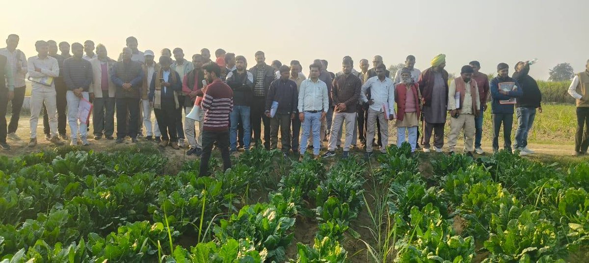 District Cane Officer Amroha tweet media