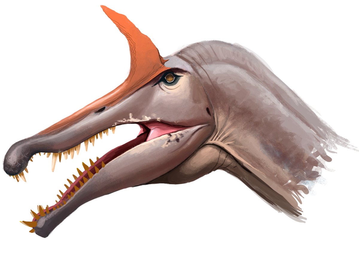 Ventura Salas (Commissions closed) tweet media