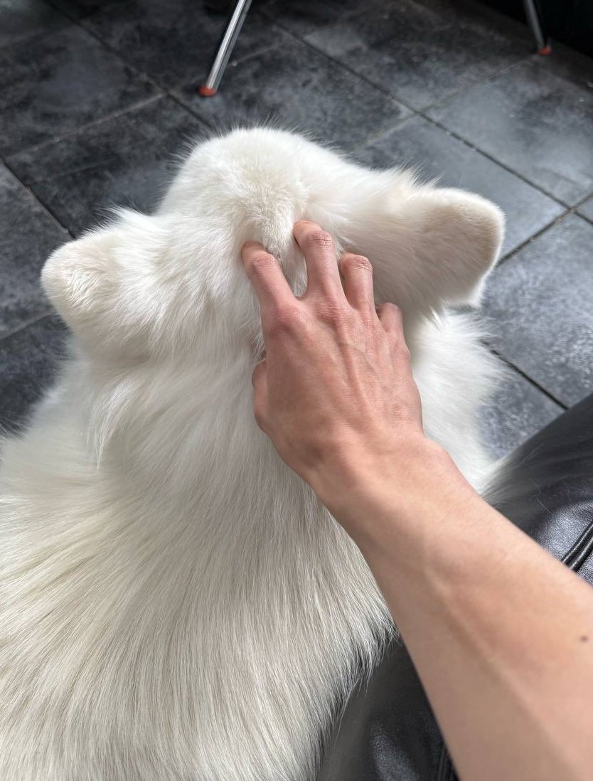 🥹🥹🥹🥹🥹🥹🥹🥹🥹🥹🥹🥹🥹🥹🥹🥹🥹🥹🥹jenmoyed🥹🥹🥹🥹🥹🥹🥹🥹🥹🥹🥹🥹🥹🥹🥹🥹🥹🥹🥹🥹🥹🥹🥹🥹🥹🥹🥹🥹🥹🥹🥹🥹🥹