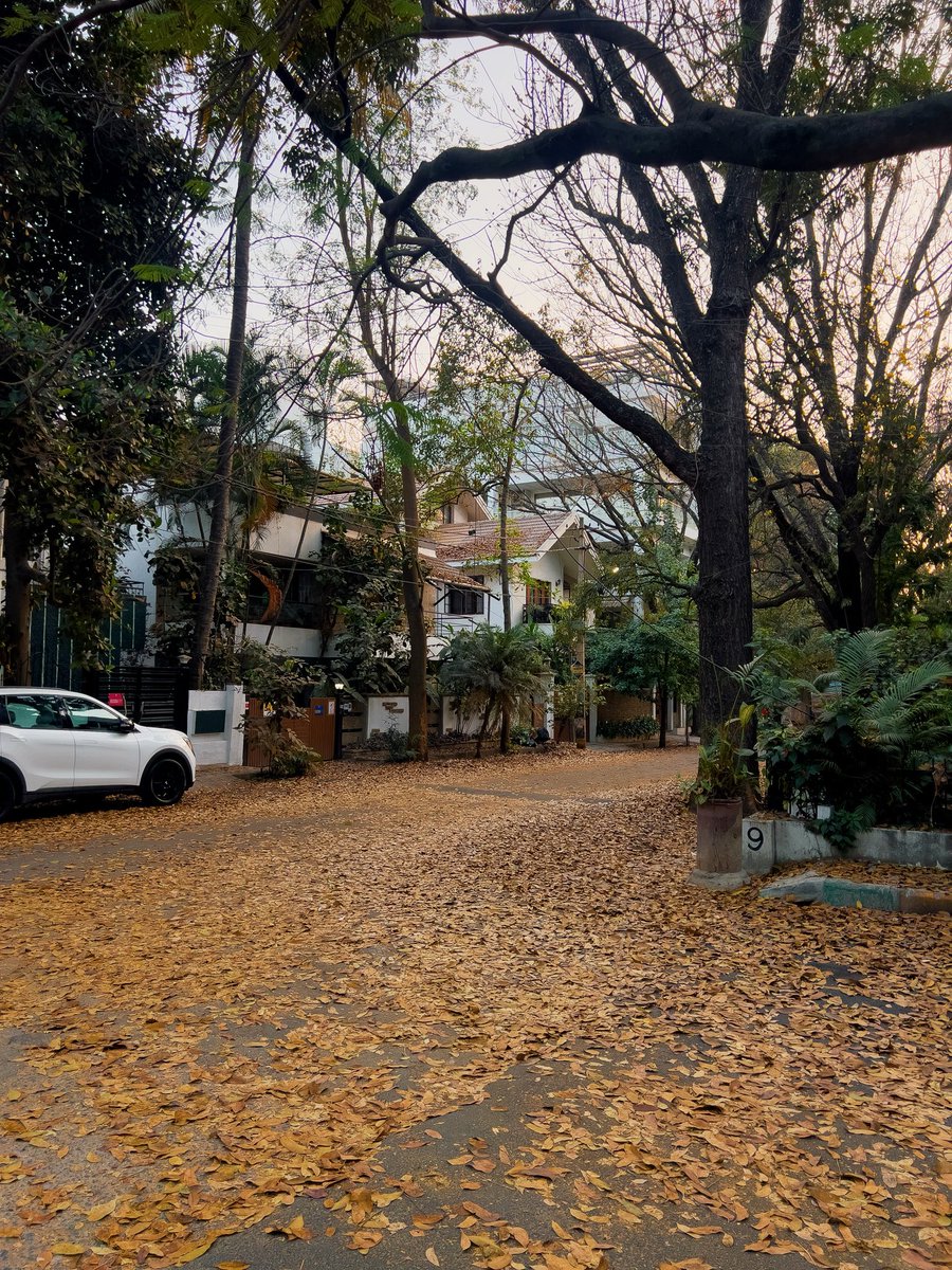 Obsessed with Bangalore’s colour palette right now :’)