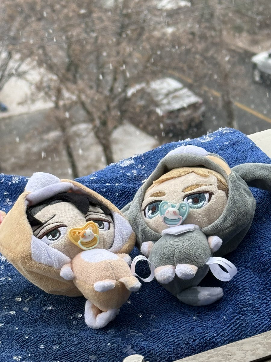 파피들도 눈구경❄