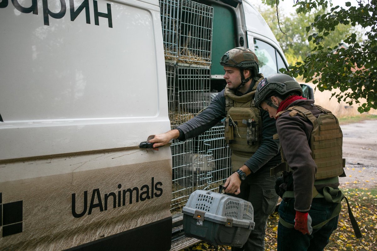 UAnimals.ENG 🇺🇦 tweet media