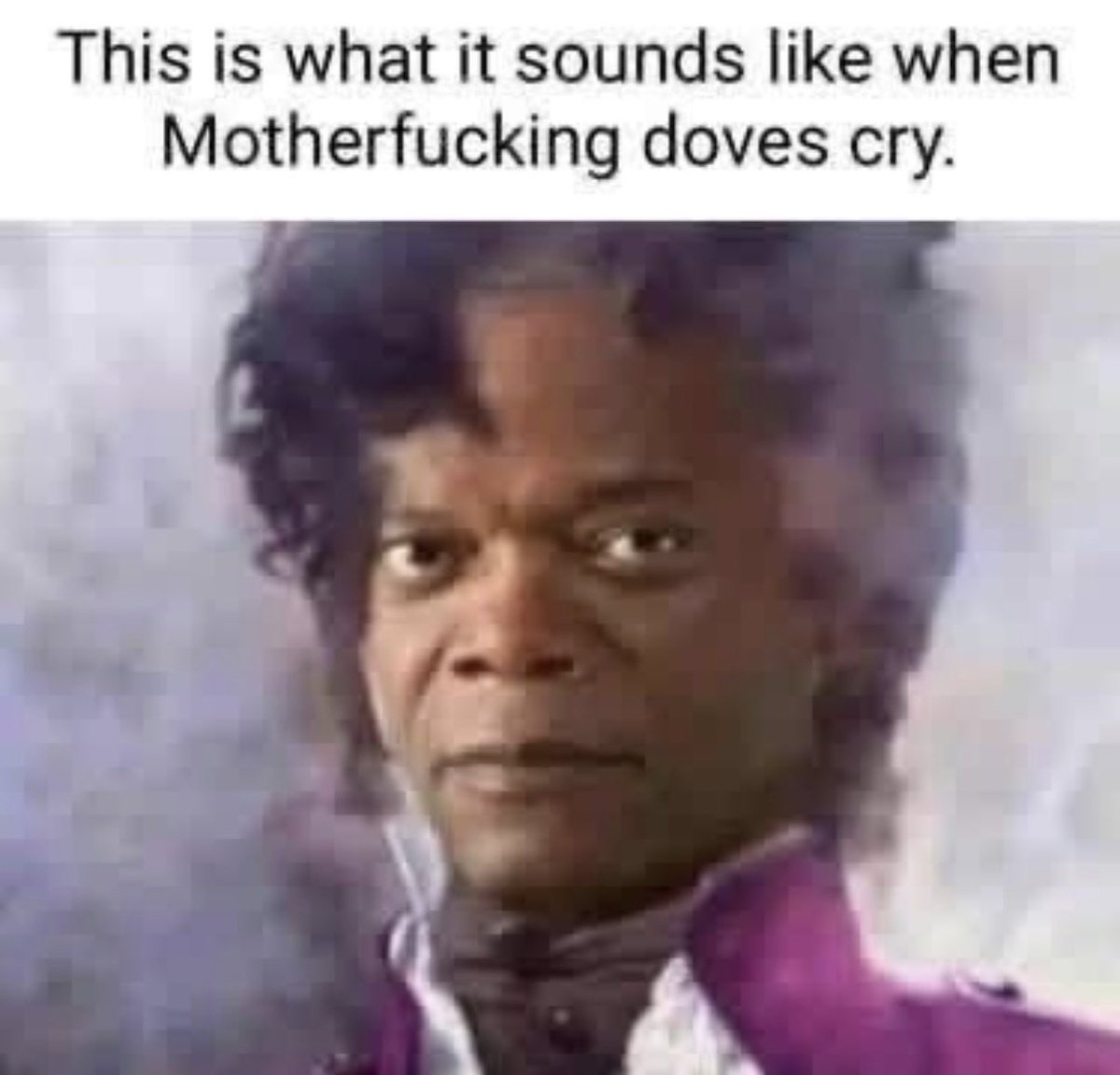 Monkeyjunk11 tweet media