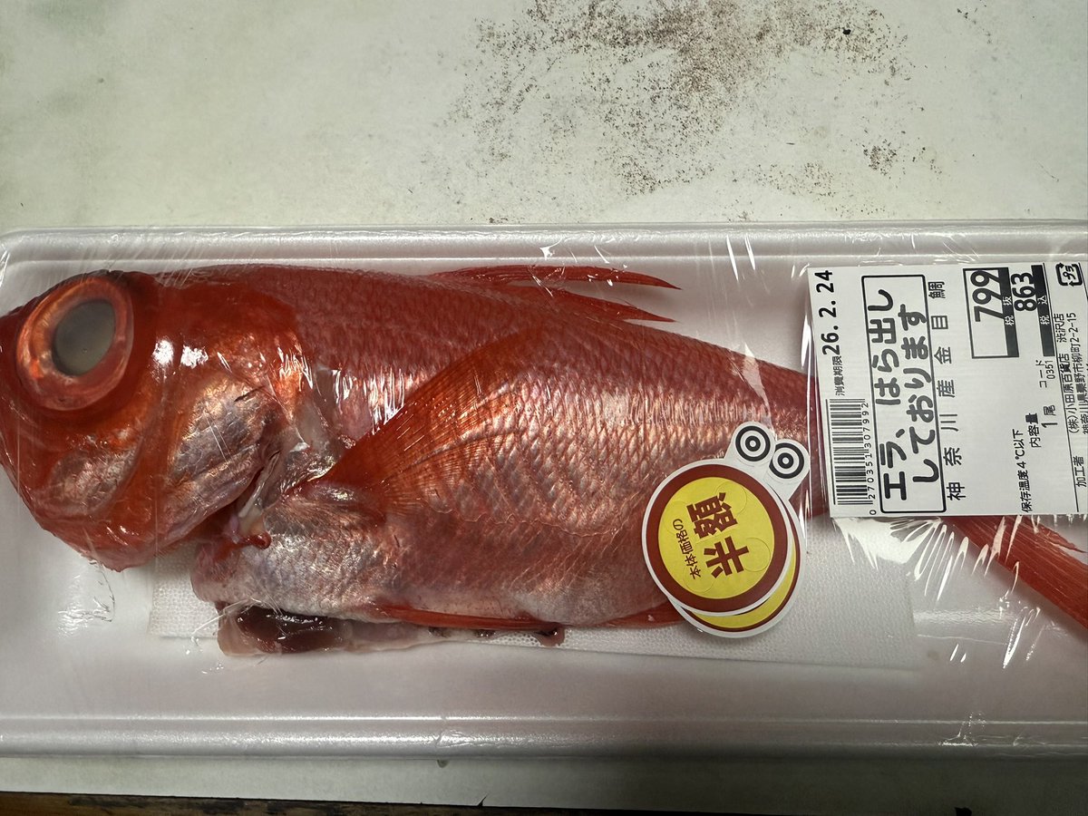 レインメーカー tweet media