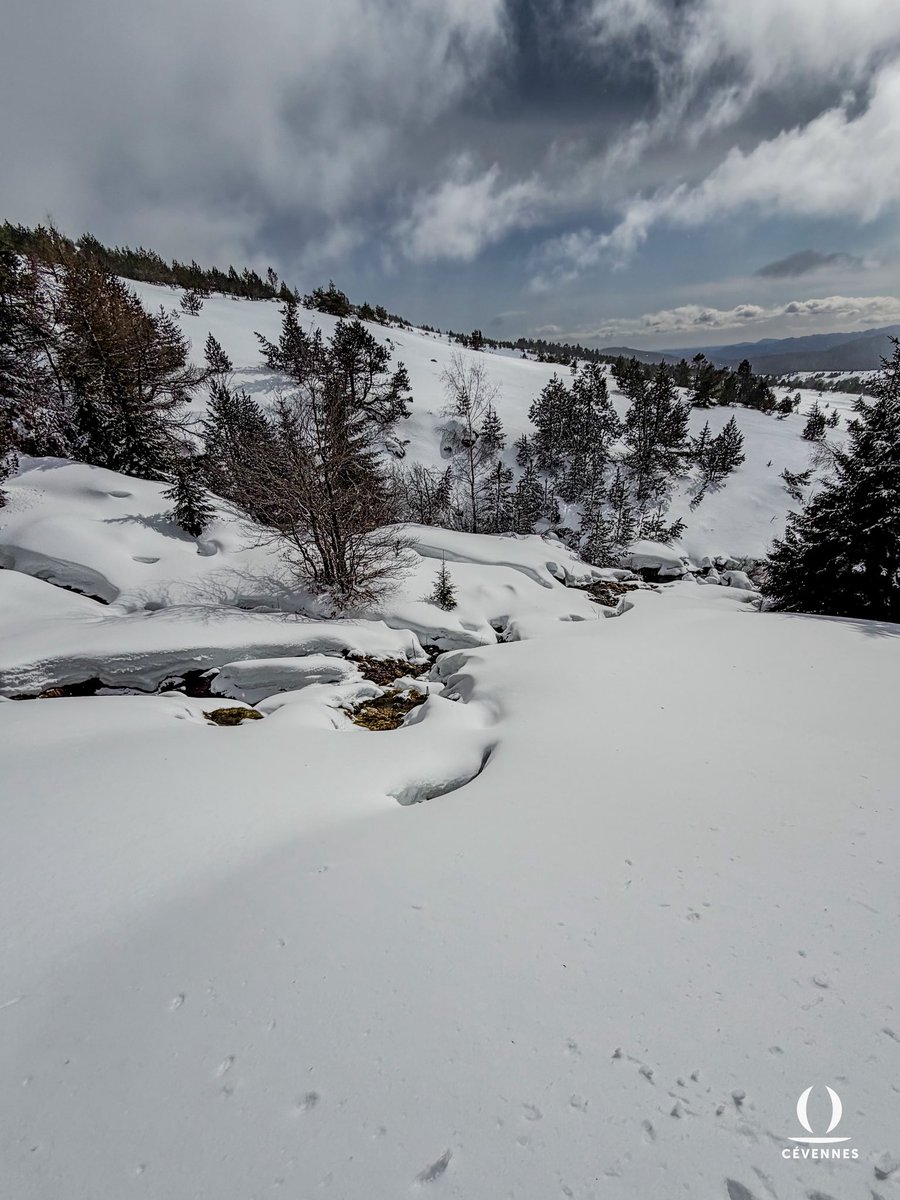 Les Cévennes d’Oraterra tweet media