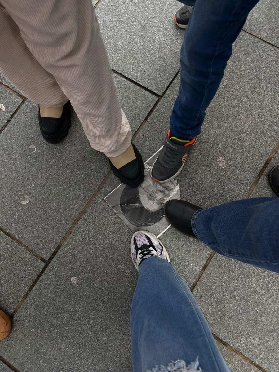 ariamehr tweet media