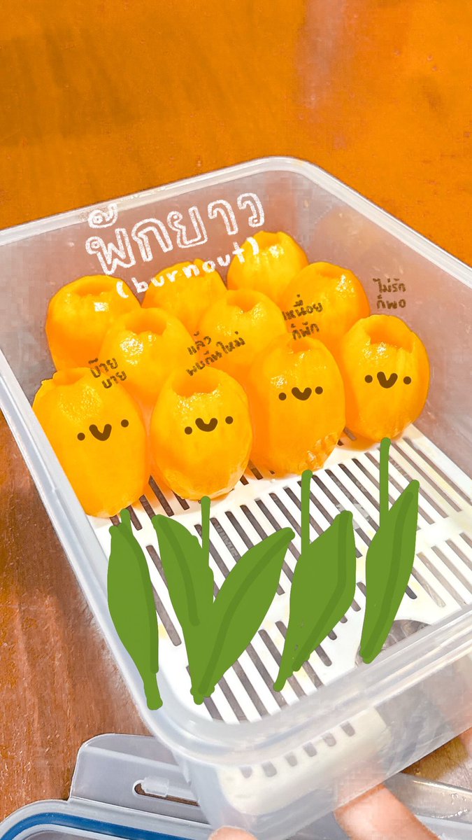 morning table tweet media