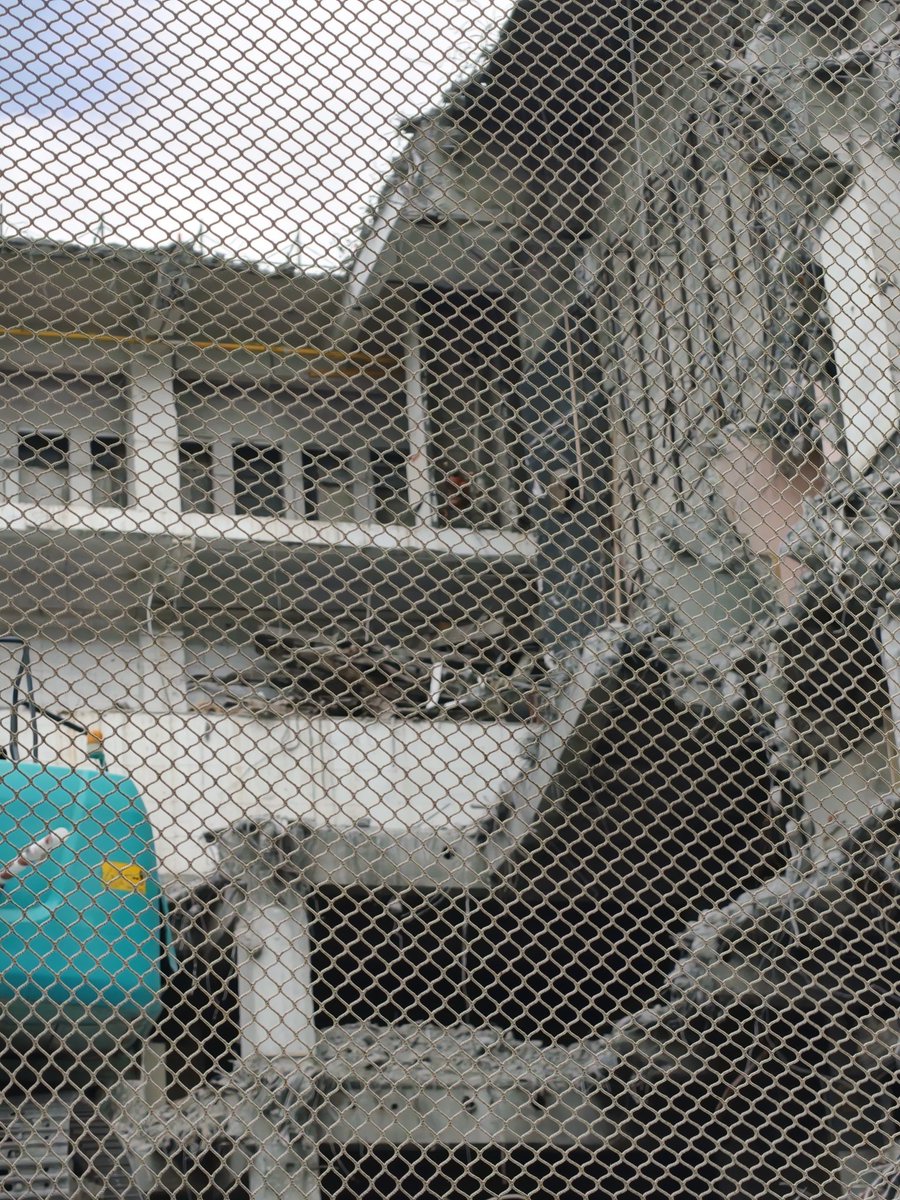 岡田眞善 tweet media