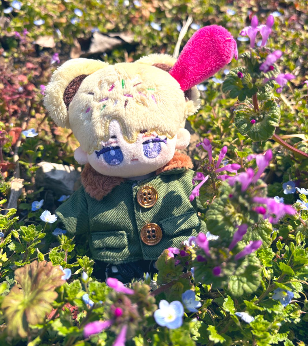 to49_nui's tweet photo. お散歩🍨 https://t.co/S1adqky52x