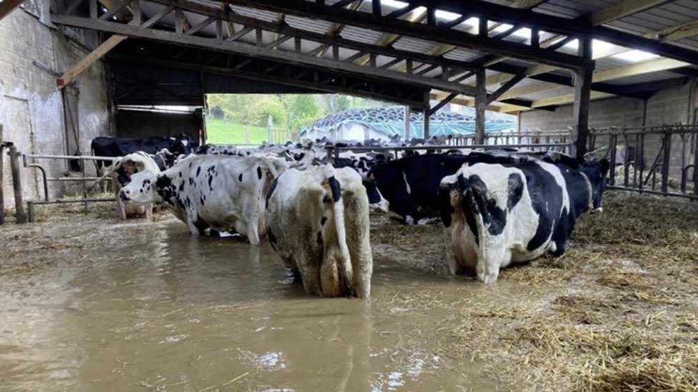 Les animaux d’élevage paient un lourd tribut aux inondations qui touchent la 🇫🇷 notamment.

Un changement des méthodes agricoles actuels devient vraiment indispensable.

<a href="/OABA_Off/">OABA</a> 
<a href="/LaurenceParisot/">Laurence Parisot</a> 
<a href="/L214/">L214 éthique & animaux</a> 
<a href="/PETA_France/">PETA France</a> 
<a href="/vakitamedia/">Vakita</a> 
<a href="/hugoclement/">Hugo Clément</a>