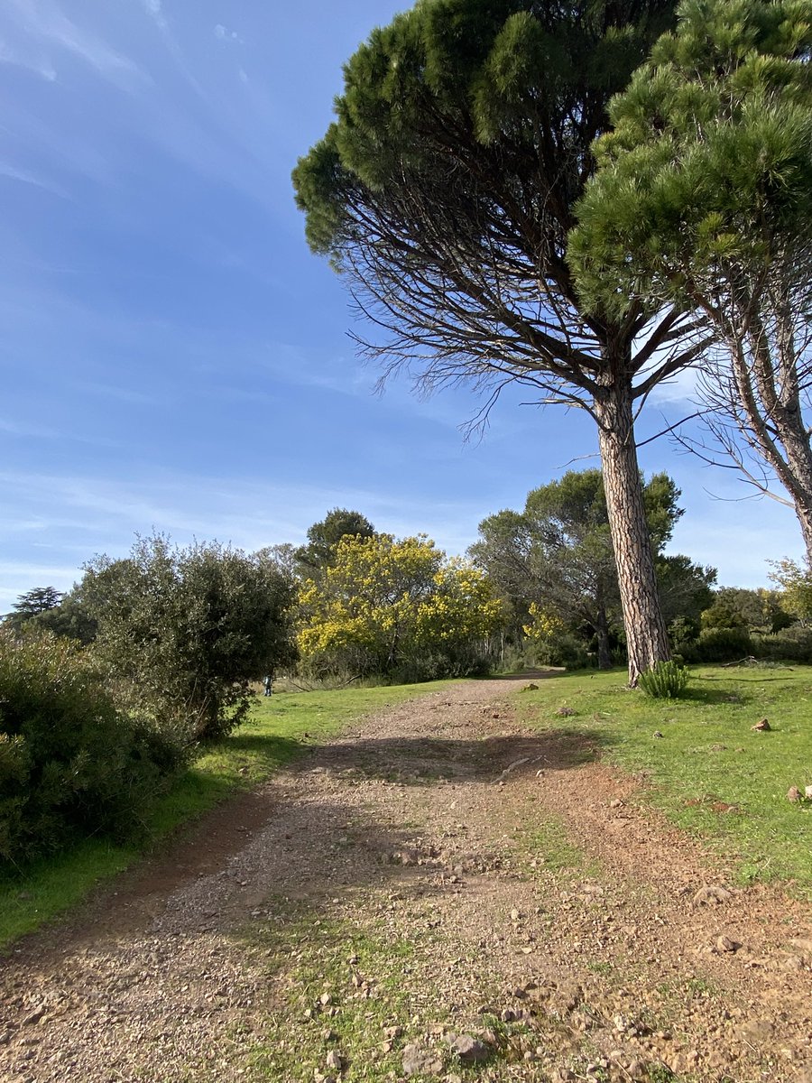 Good Morning Friends