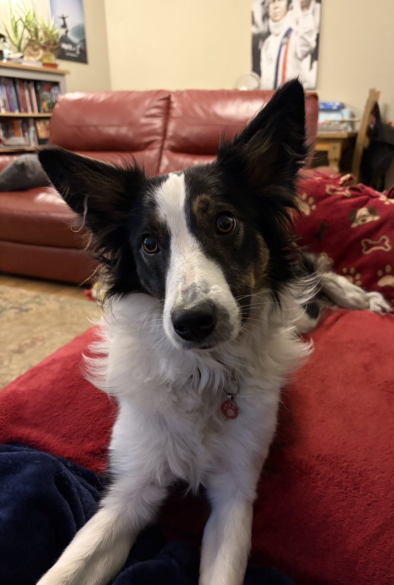 Dad is going to that London on his motorbike for two days for werk. I will be staying with the Goldens. I’ll see you all tomorrow night. Love, Bess 😘