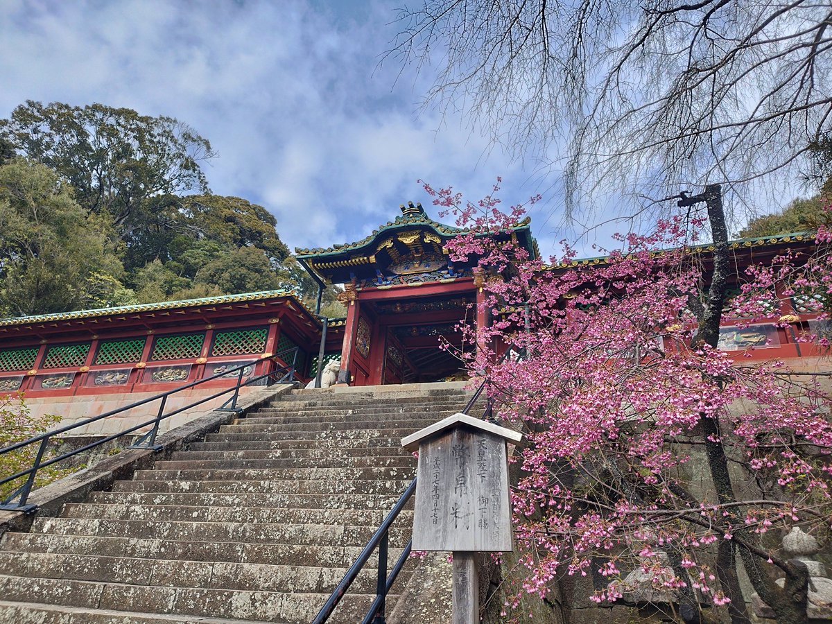 カズラー tweet media