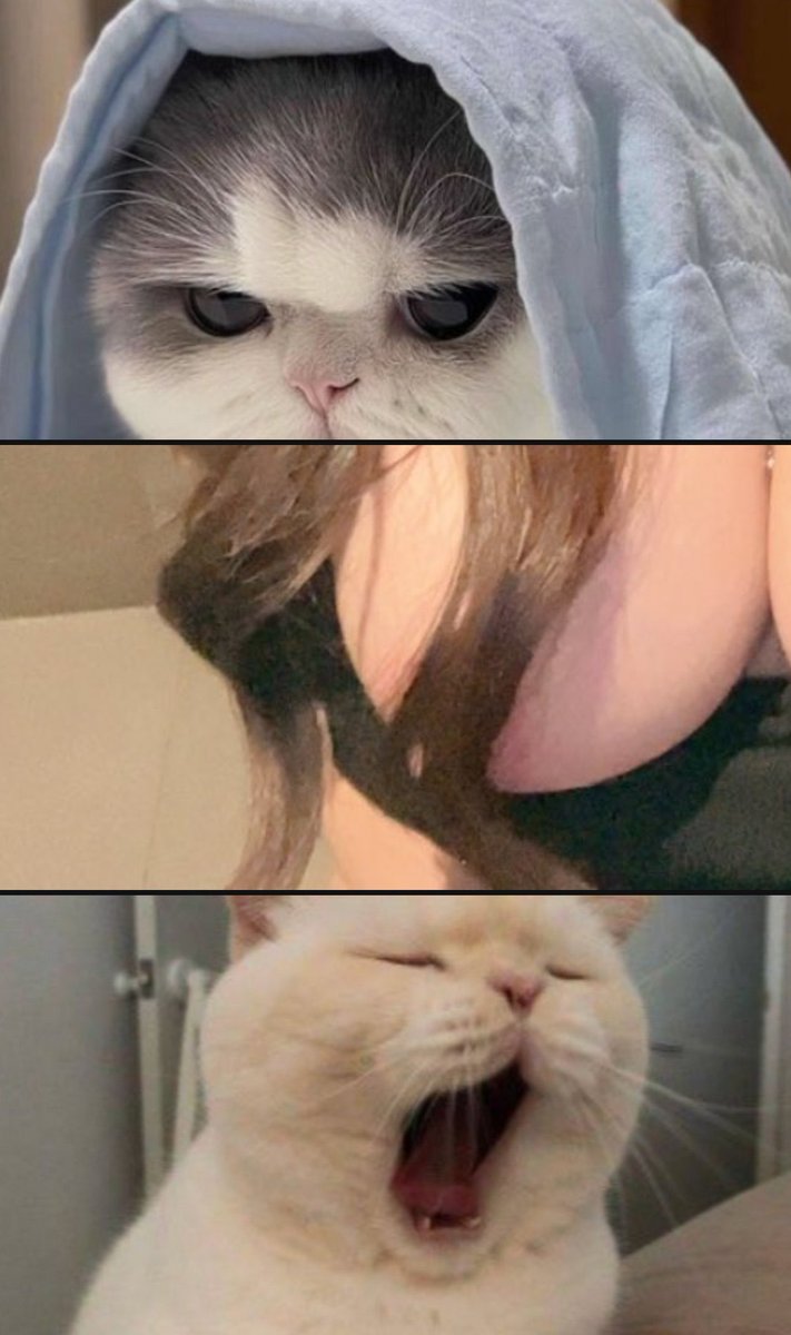 نورسين | برايفت 🍒🇦🇪 tweet media