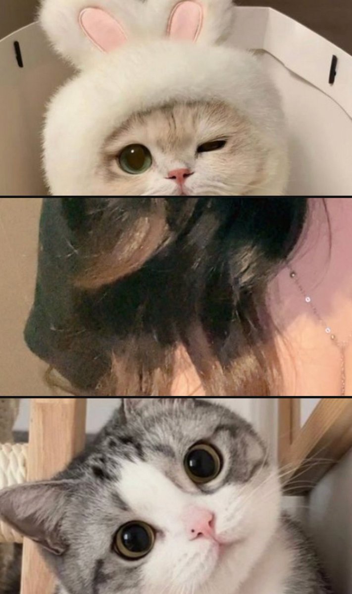 نورسين | برايفت 🍒🇦🇪 tweet media