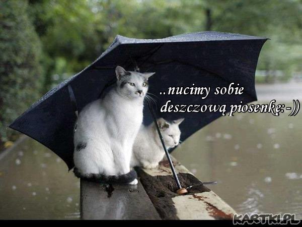 Dzień dobry 😀🌷☕️
