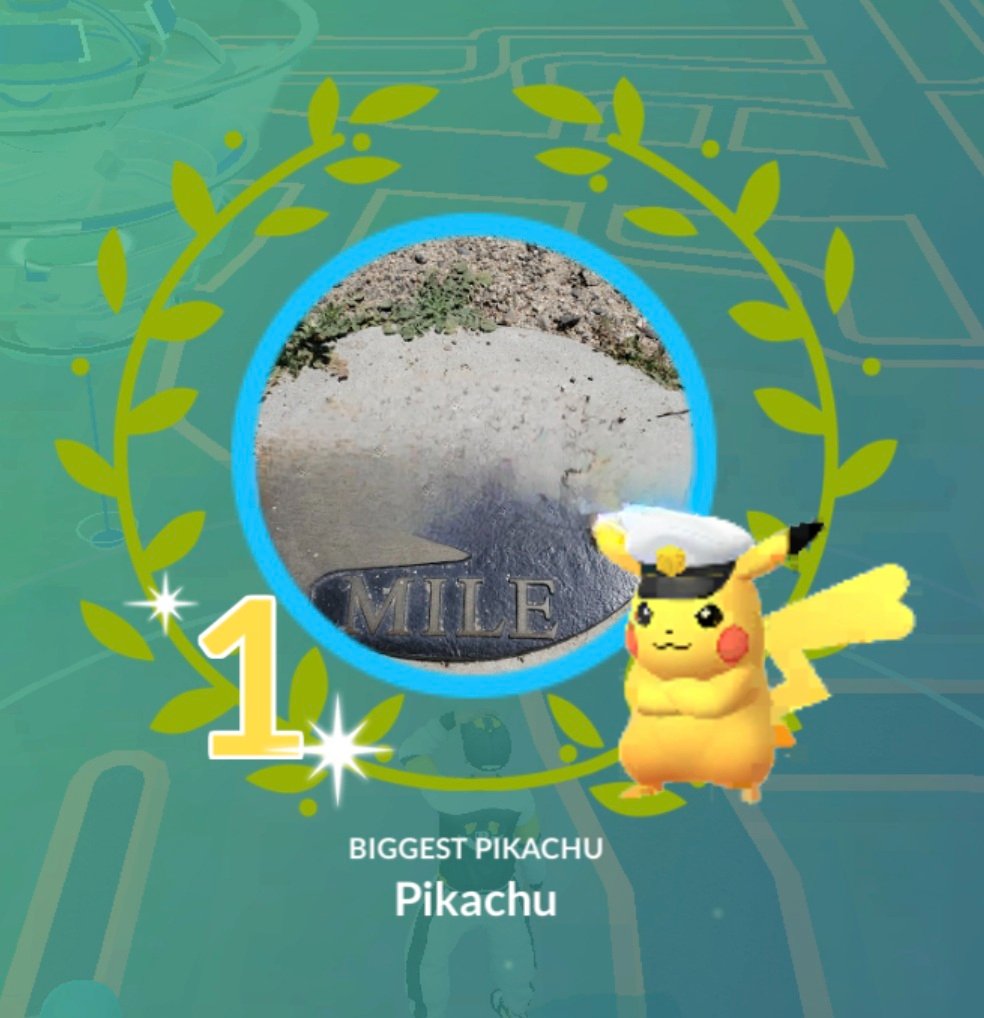 ghosty4's tweet image. #Pikachu single-handedly helping me get Pikachu Ph.D.! #PokemonGO #pokestop #showcase