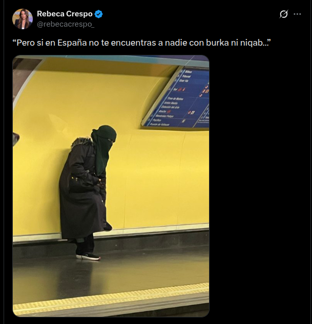 PersonaMayor tweet media