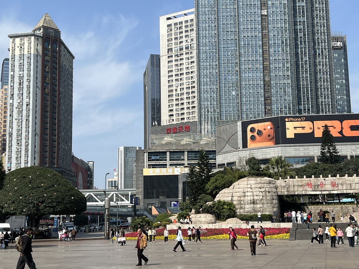 及时行乐 tweet media