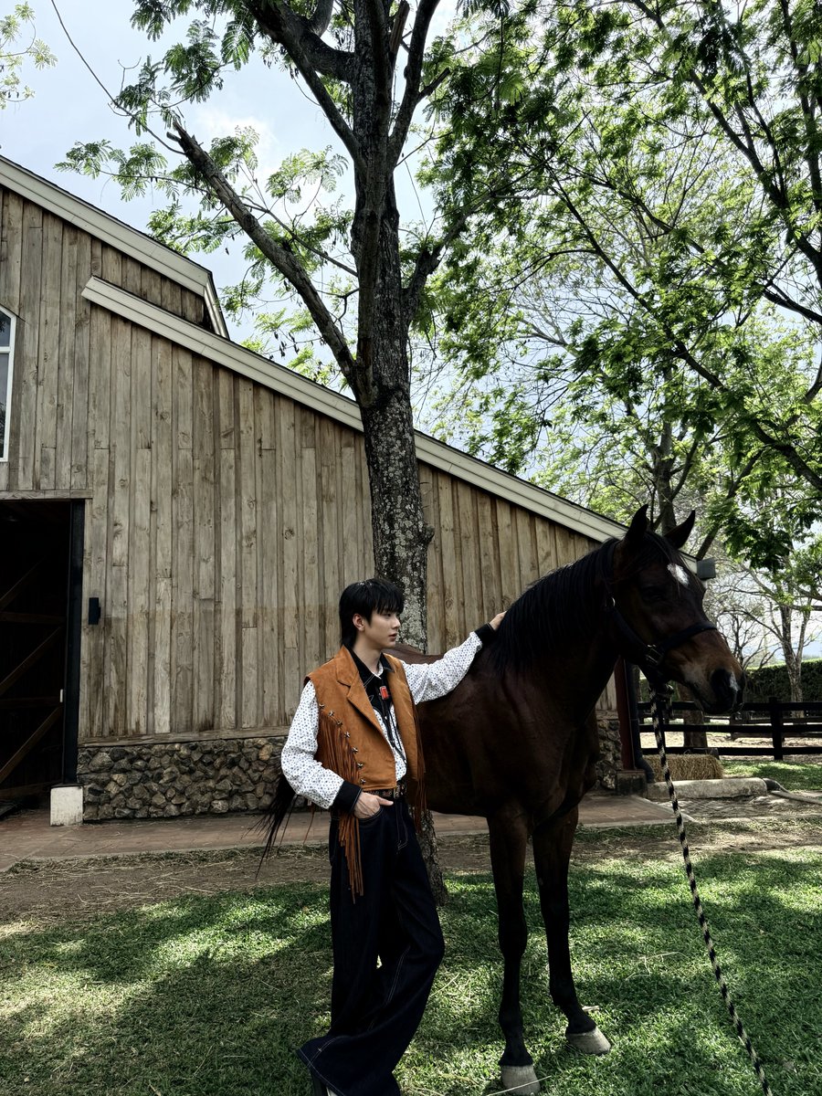 🐎🌳⛰️ #savewrg