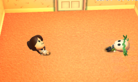 Riddle School Official tweet media