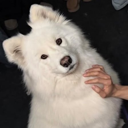 ป๋มได้อยุ่ในไอจีน่อด้วยแหละแม่ แม่เห้นยัง