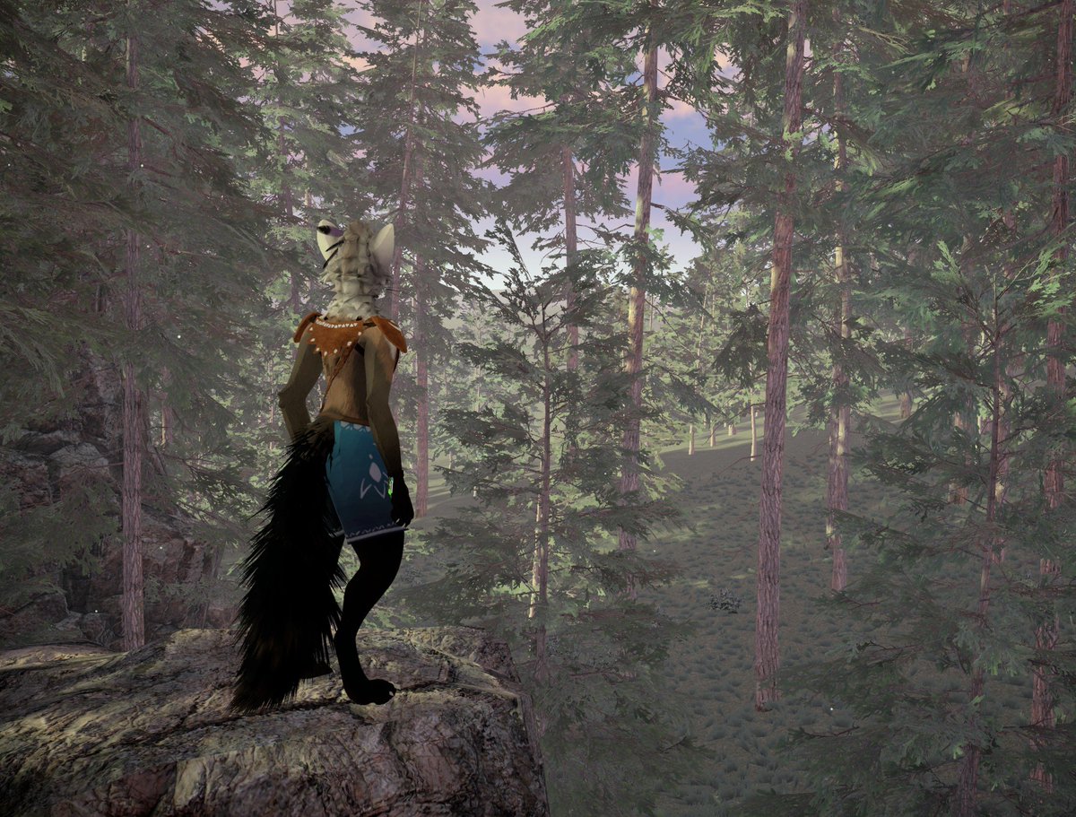 Virtual Marten tweet media