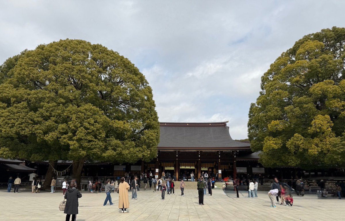 kinako🦊🪬 (@2525kina5) / Posts / X