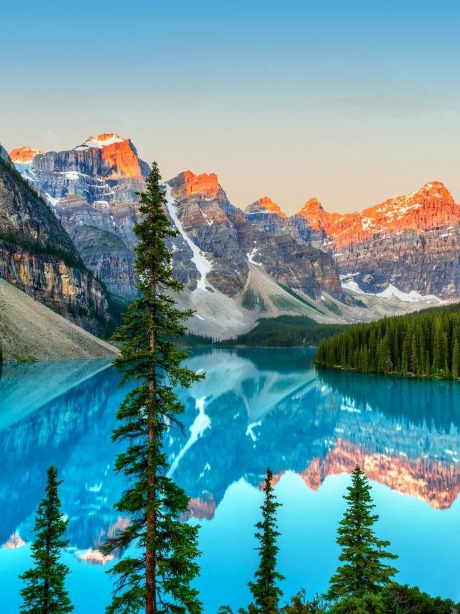 MozartCultures tweet media