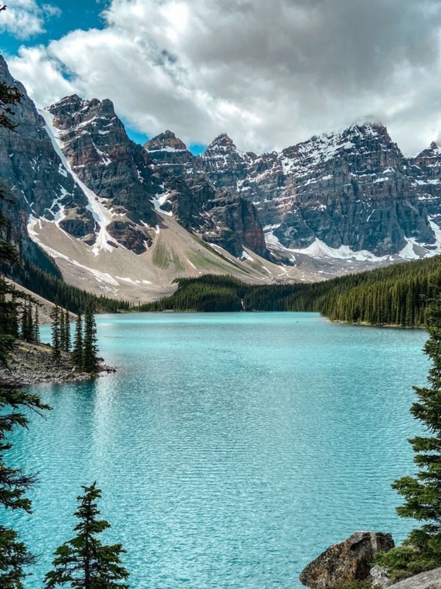 MozartCultures tweet media