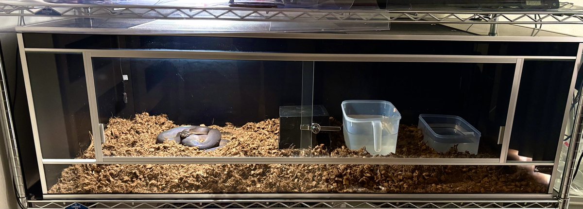 龍匠オリジナルオーダーケージ®︎ (@ryuushyou164) / Posts / X