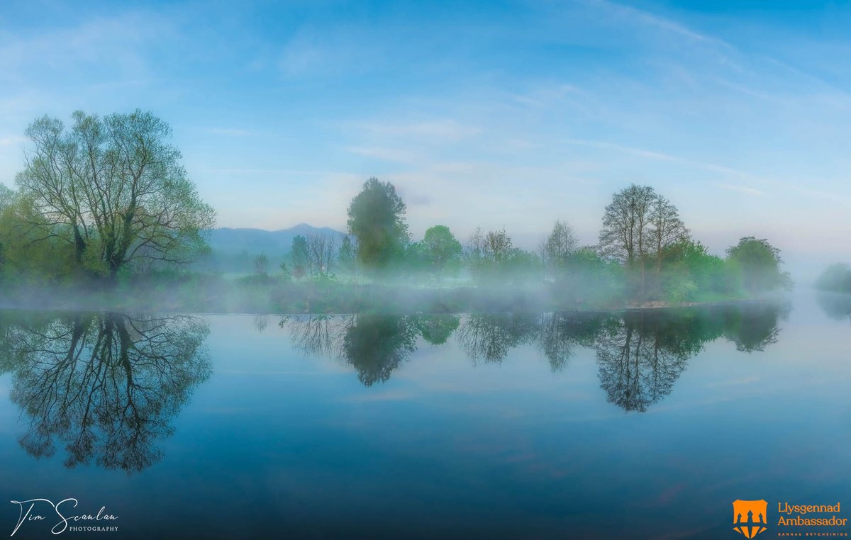 Tim Scanlan tweet media