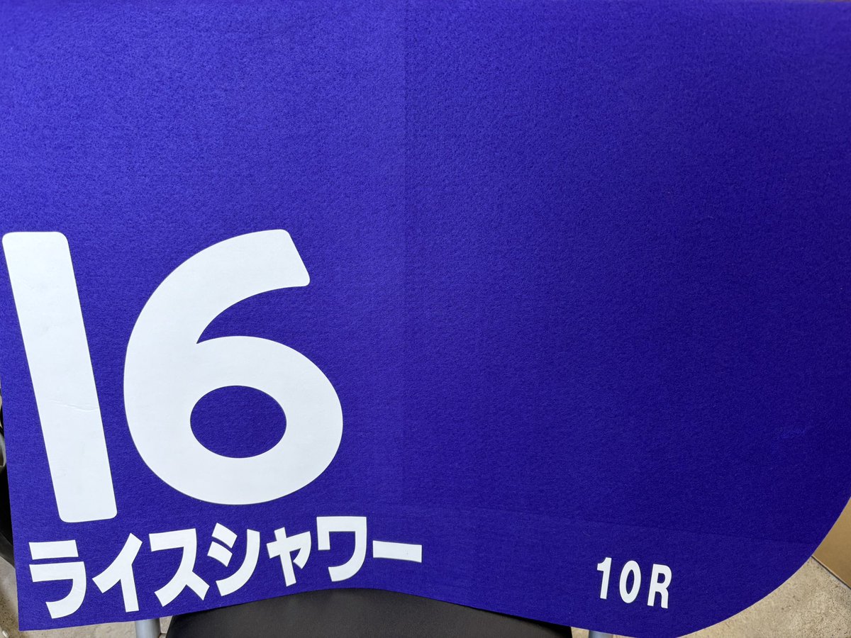 え、ライスシャワーの！？